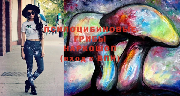 COCAINE Богородицк