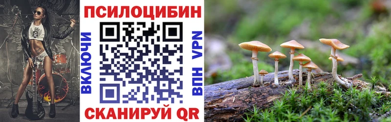 где продают   Кемь  Галлюциногенные грибы прущие грибы 
